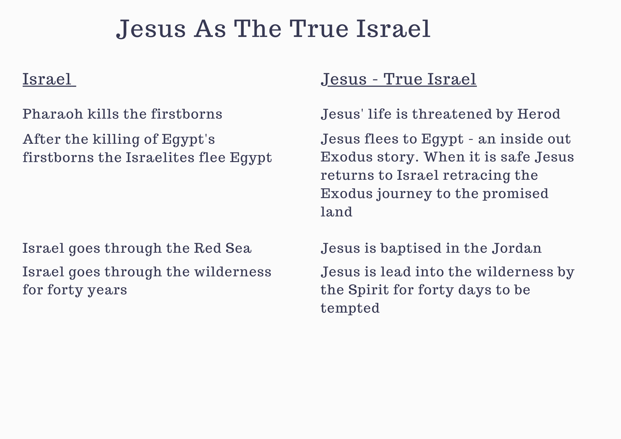 Blue and Orange Compare and Contrast Graphic Organizer